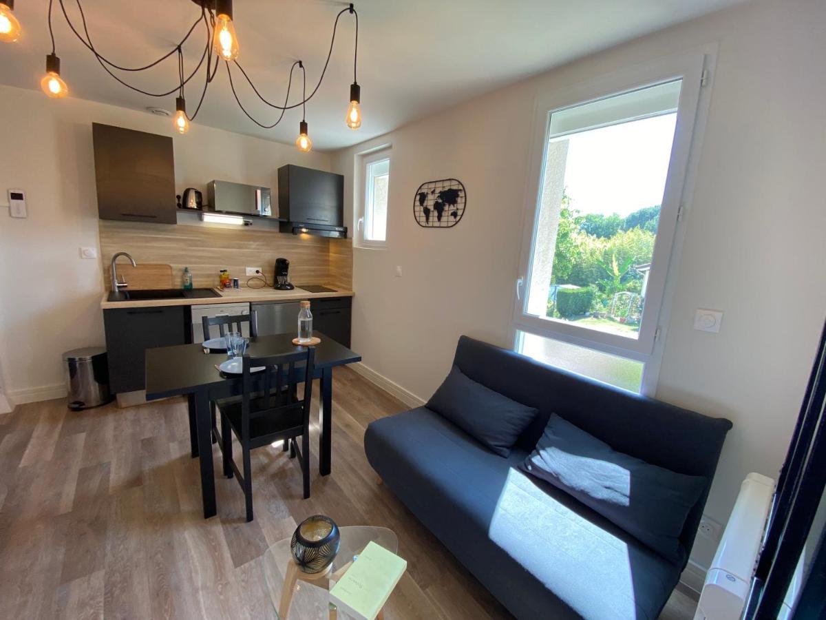 Au 3 Rue Manhes Apartment Albi Luaran gambar