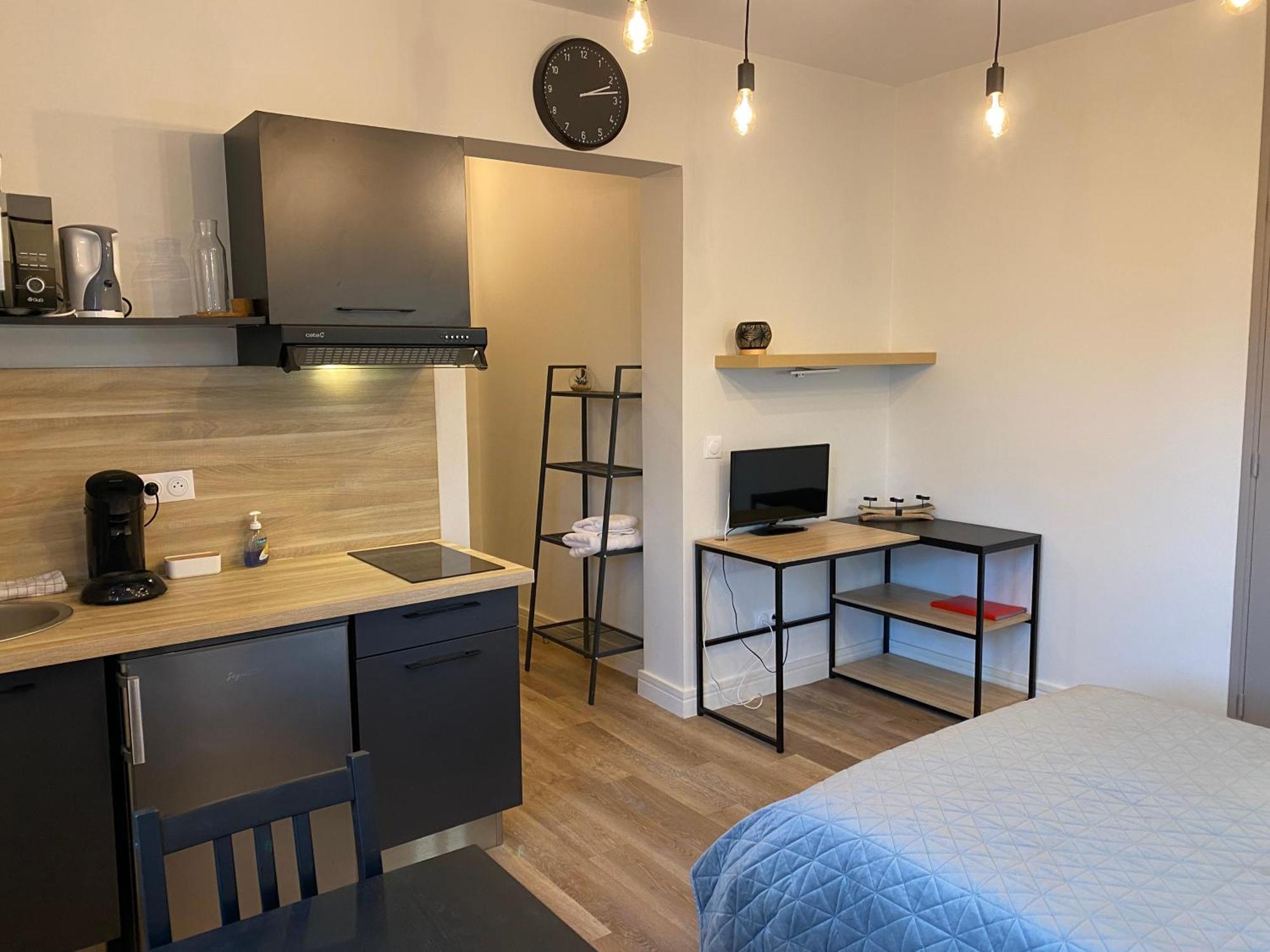 Au 3 Rue Manhes Apartment Albi Luaran gambar