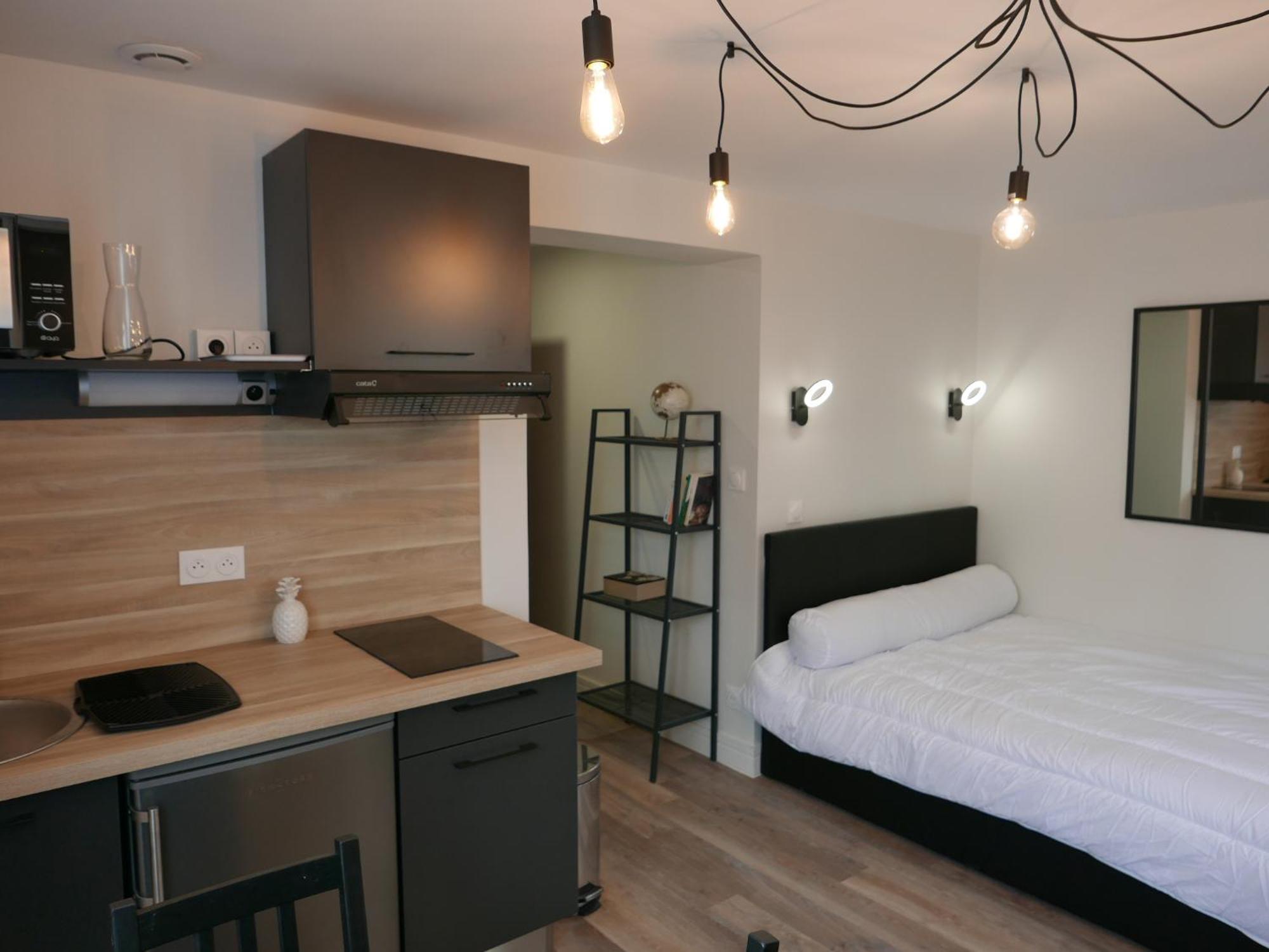 Au 3 Rue Manhes Apartment Albi Luaran gambar