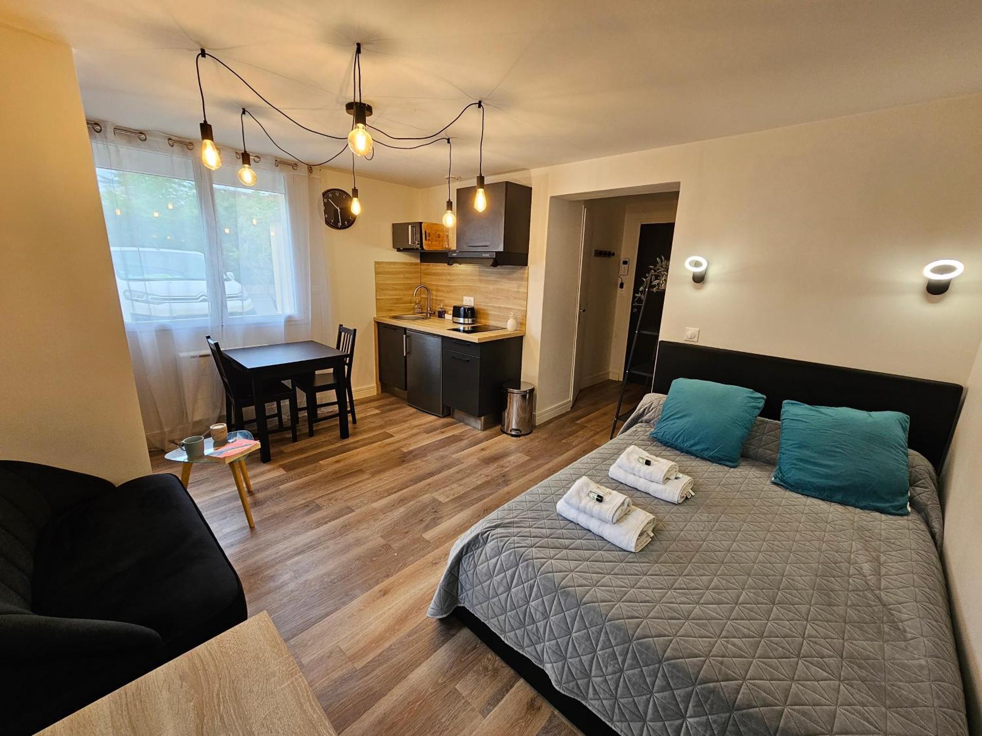 Au 3 Rue Manhes Apartment Albi Luaran gambar